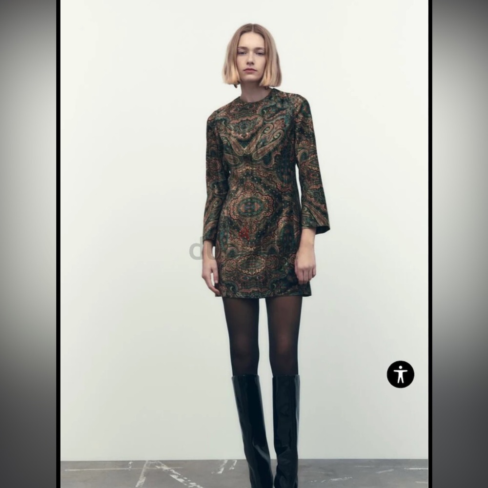 NWT Zara Paisley Velvet Mini Dress